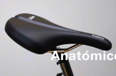 Qual selim escolher?